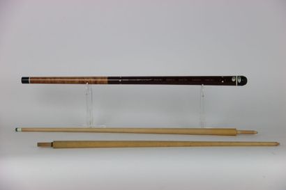 Pool cue with its two counter-measures. Case....