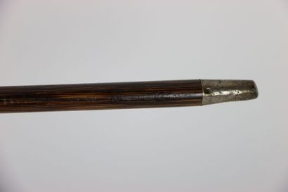 Set of 4 canes, some silver. Beginning of...
