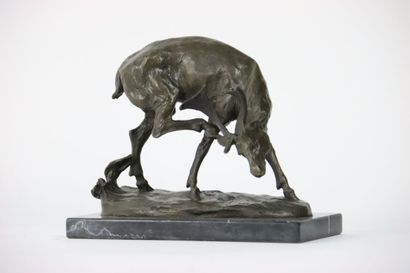 MIOL. School of the XXth century. CERF scratching...