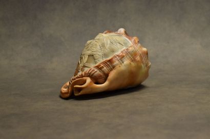 Veilleuse coquillage sculptée à décor de...