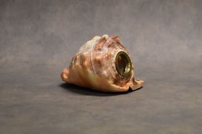 Veilleuse coquillage sculptée à décor de...