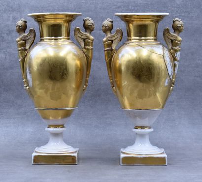 Paire de vases balustres
Paire de vases balustre...