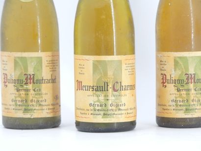3 BOURGOGNE BERNARD BIGEARD
2 bouteille de...