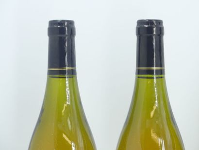 6 MEUSAULT 2008 CHARLES ANTONON
6 Bouteilles...