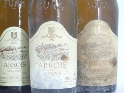 9 ARBOIS DOMAINE DE LA PINTE 
2 bouteilles...