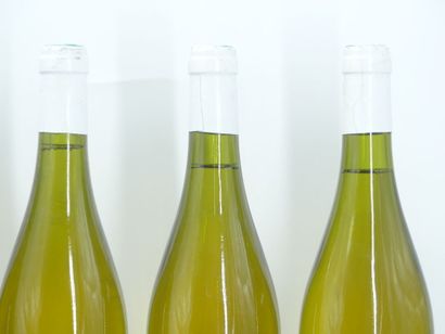 6 bouteilles de ST BRIS 2003 DOMAINE PETITJEAN





Sur...