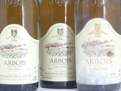9 ARBOIS DOMAINE DE LA PINTE 
2 bouteilles...