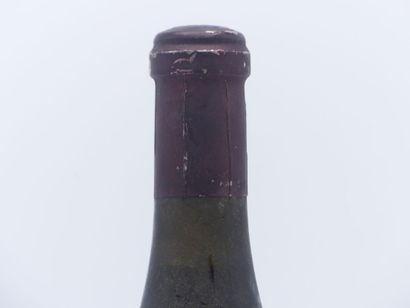 1 MAGNUM CHATEAUNEUF DU PAPE REINE DES BOIS...