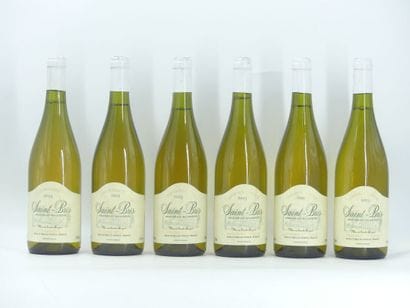 6 bouteilles de ST BRIS 2003 DOMAINE PETITJEAN





Sur...