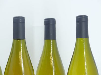 6 CHASSAGNE MONTRACHET 2004 ANTONIN
6 Bouteilles...