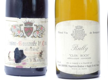1 bouteille de SANTENAY 2004 CAVE DES HAUTES...