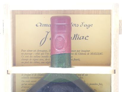 1 bouteille d'ARMAGNAC HORS D AGE / ANNEES...