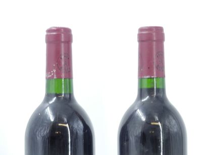 2 bouteilles de PAUILLAC, 1985, CARRUADES...