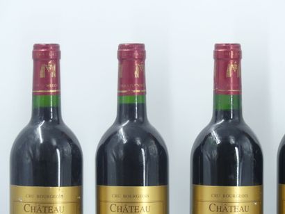 6 bouteilles de MOULIS EN MEDOC, 1998, CHÂTEAU...