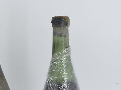 3 ARBOIS DE GRIMONT 1964
3 bouteilles d'ARBOIS,...