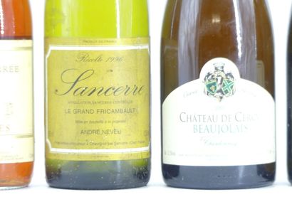 1 bouteille de NUITS ST GEORGES, 1996, Roger...