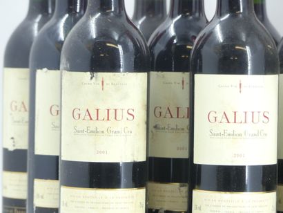 12 GALIUS 2001
12 bouteilles de ST EMILION,...
