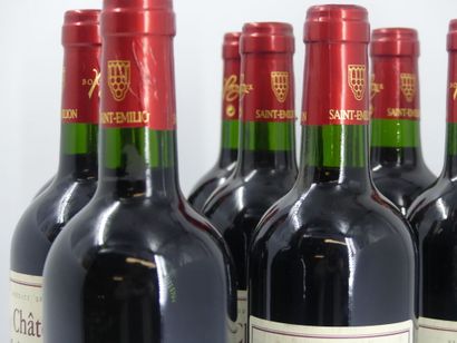 10 bouteilles de SAINT EMILION GRAND CRU...
