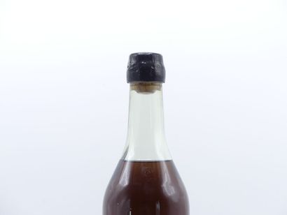 1 bouteille d'ARMAGNAC 1951 MARCEL TREPOUT....