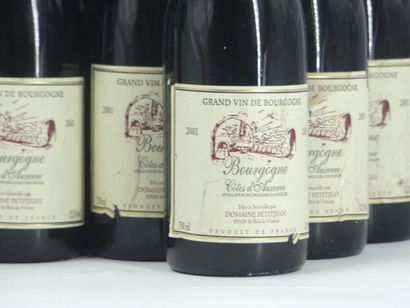 7 bouteilles de BOURGOGNE ROUGE 2001 DOMAINE...
