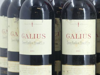 12 GALIUS 2001
12 bouteilles de ST EMILION,...
