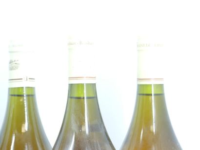 9 ARBOIS DOMAINE DE LA PINTE 
2 bouteilles...