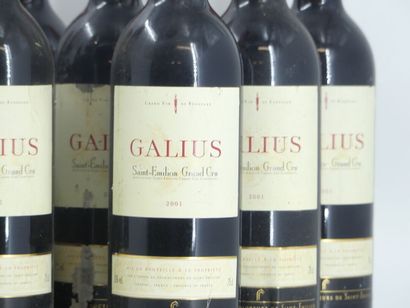 12 GALIUS 2001
12 bouteilles de ST EMILION,...