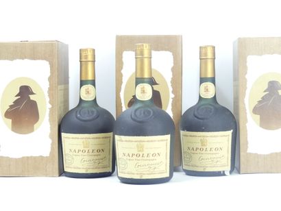 3 bouteilles de COGNAC FINE CHAMPAGNE NAPOLEON,...