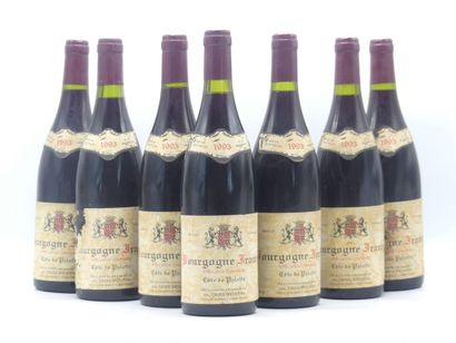 7 bouteilles d'IRANCY 1993 CAVES BIENVENU.





Sur...