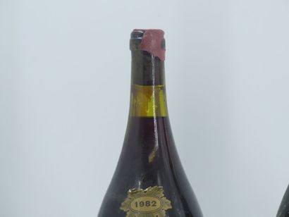 2 MAGNUM ROUGE
1 magnum de COTE ROANNAISE,...
