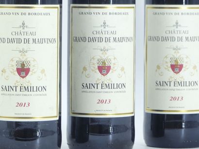 5 bouteilles de SAINT EMILION 2013 GRAND...
