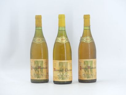 3 BOURGOGNE BERNARD BIGEARD
2 bouteille de...