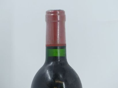 1 CHATEAU PAVIE 1989
1 bouteille de SAINT...