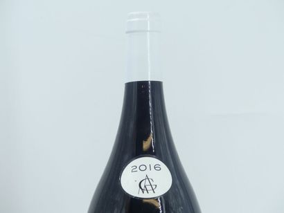 1 MAGNUM DE NUITS ST GEORGES 1ER CRU 