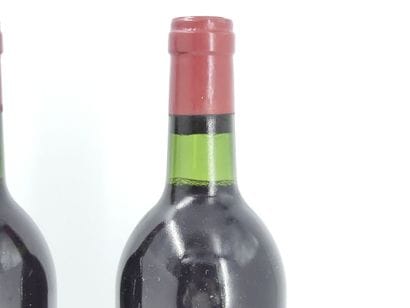 2 HAUT MARBUZET 1976
2 bouteilles de SAINT...