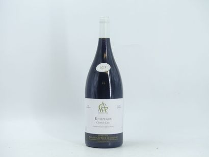 1 MAGNUM D'ECHEZEAUX, 2011, Domaine Alain...