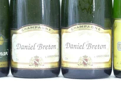 6 bouteille de mousseux
1 bouteille de CHAMPAGNE,...