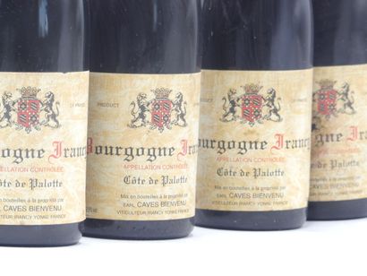 7 bouteilles d'IRANCY 1993 CAVES BIENVENU.





Sur...