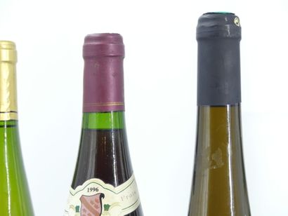 3 bouteilles de PINOT NOIR, 1995/1996, M...