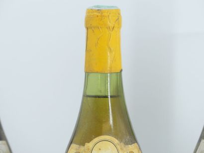 lot 3 BOURGOGNES
2 bouteilles de NUITS SAINT...