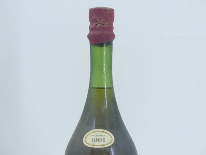 1 VIEUX MARC DE BOURGOGNE 1981
1 bouteille...