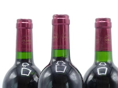 3 bouteille de GRAVES 1996 CHÂTEAU CHERCHY...