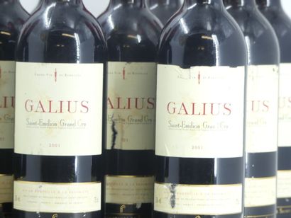 12 GALIUS 2001
12 bouteilles de ST EMILION,...
