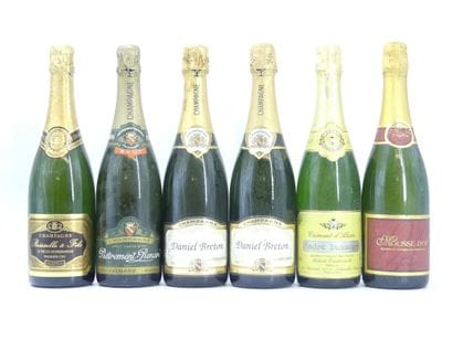 6 bouteille de mousseux
1 bouteille de CHAMPAGNE,...