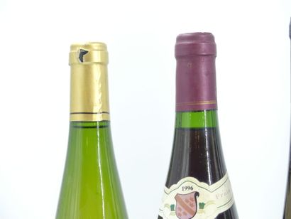 3 bouteilles de PINOT NOIR, 1995/1996, M...