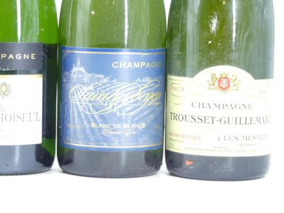 1 bouteille de CHAMPAGNE, SAINTGYBRYEN

2...