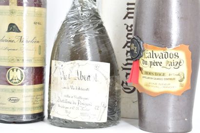 6 BOUTEILLE D'ALCOOL
1 bouteille de MANDARINE...