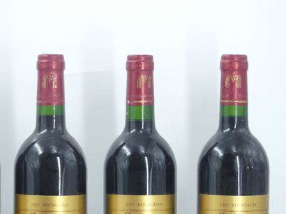 6 bouteilles de MOULIS EN MEDOC, 1998, CHÂTEAU...