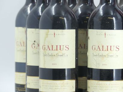 12 GALIUS 2001
12 bouteilles de ST EMILION,...