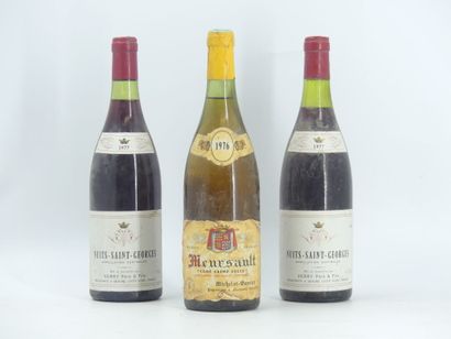 lot 3 BOURGOGNES
2 bouteilles de NUITS SAINT...